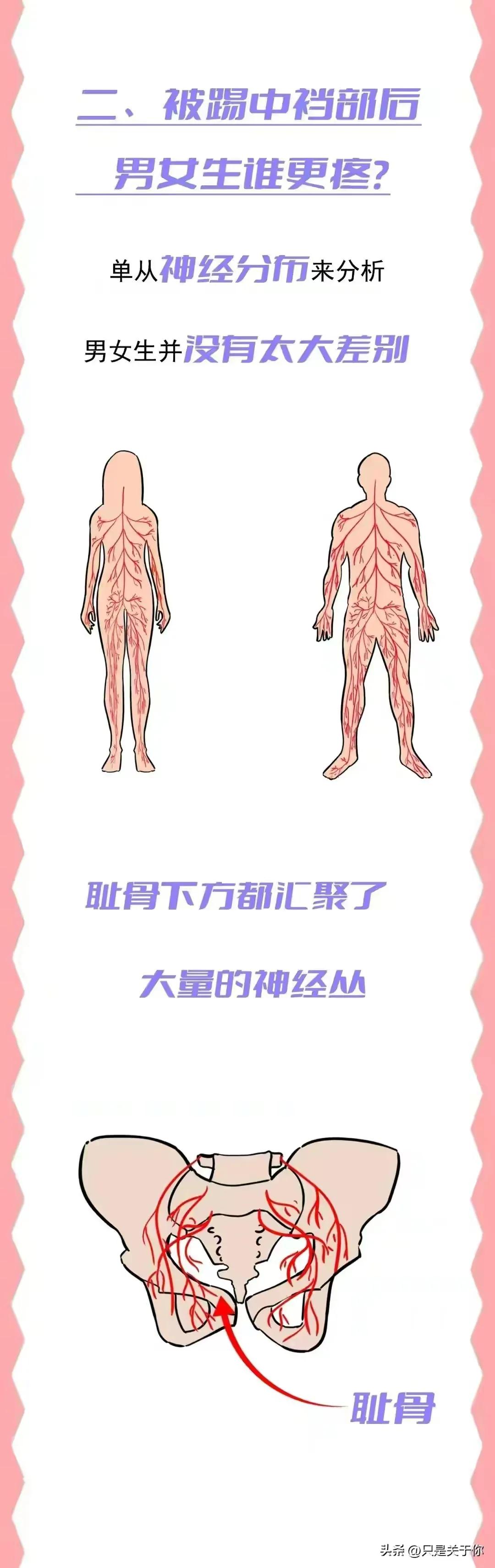 漫画：*处私**受到攻击时，男女谁的痛感更强？