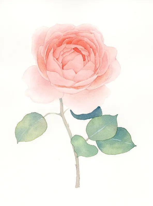 把所有的心结系成蝴蝶结,打不开的心结就系成蝴蝶结下一句