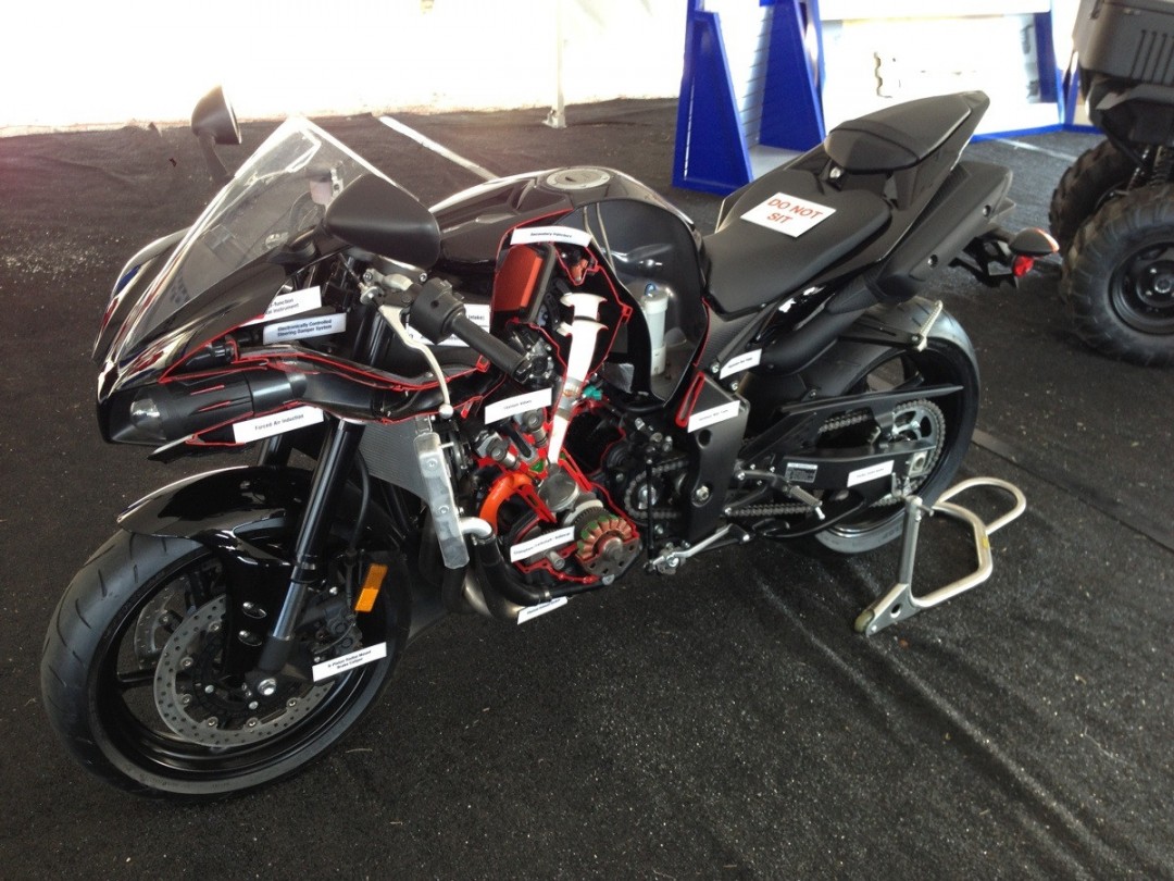 60样东西，切成一半，让你看得一清二楚