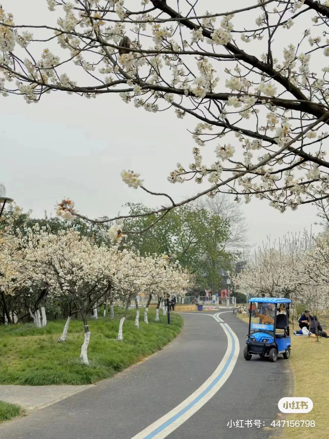 成都有哪些公园值得一去,成都必去的公园排行榜最新名单