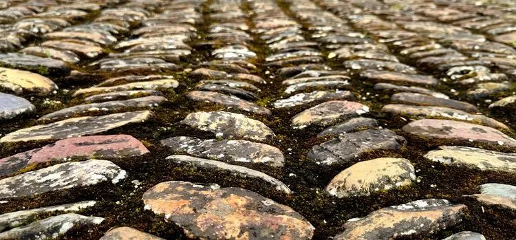 哈雷车主会福州分会,哈雷hog车主会八周年庆典巡游