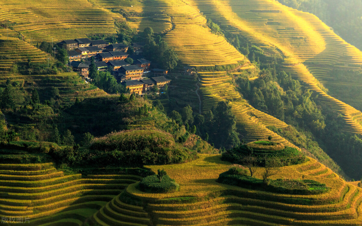 广西梯田龙脊梯田,龙脊梯田世界一绝美不胜收