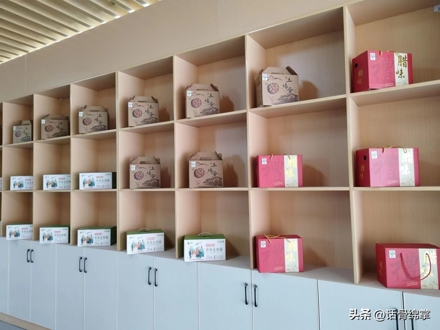 姹熸补骞虫鑱斿姩鍙戝睍,缁甸槼姹熸补鍗忓悓鍙戝睍