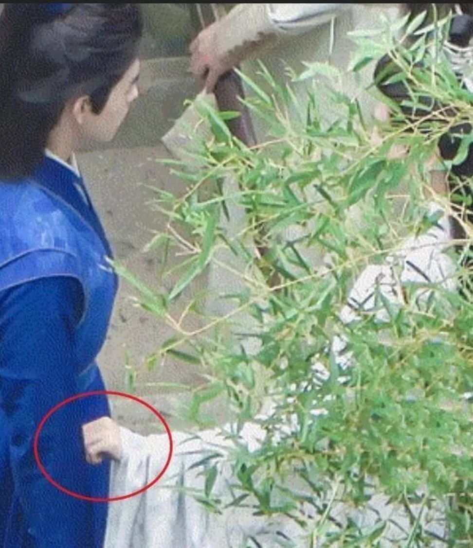 陈飞宇点燃我温暖你录制时间,点燃我温暖你陈飞宇在哪播