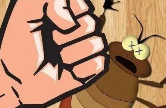 经常使用蟑螂贴能完全消灭蟑螂吗,蟑螂怎么正确消灭最彻底