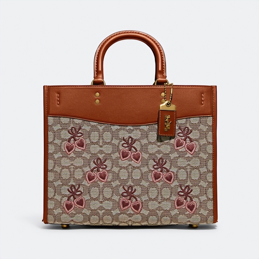 coach2022新款包,coach2022新款包包