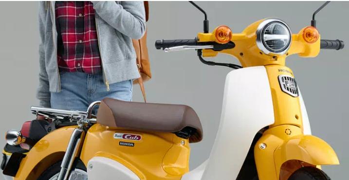 二轮考古学-本田幼兽编年史合集（1952-今）