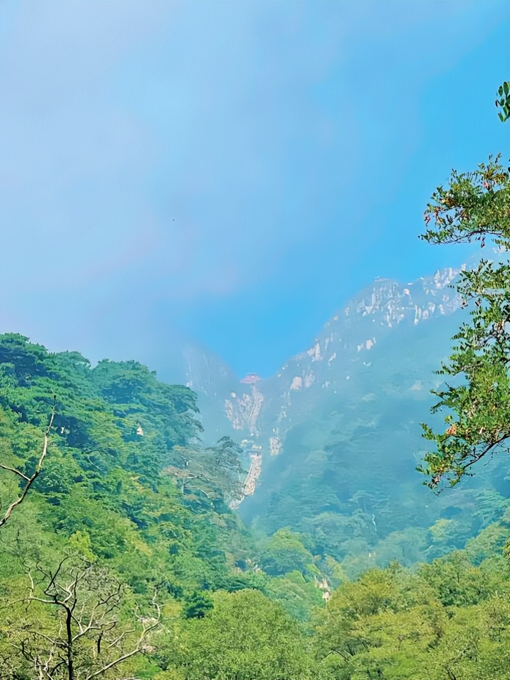 天下奇观泰山,泰山天下雄
