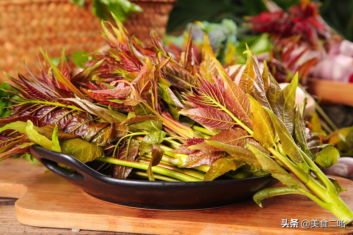 这3种野菜春天食用既美味又养生,北方地里春天都有哪些野菜可以吃