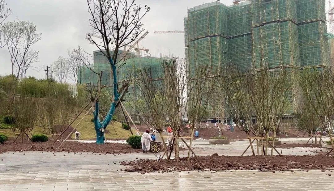 多个运动场馆、儿童乐园、健康步道，广安这个公园预计今年10月正式开放！