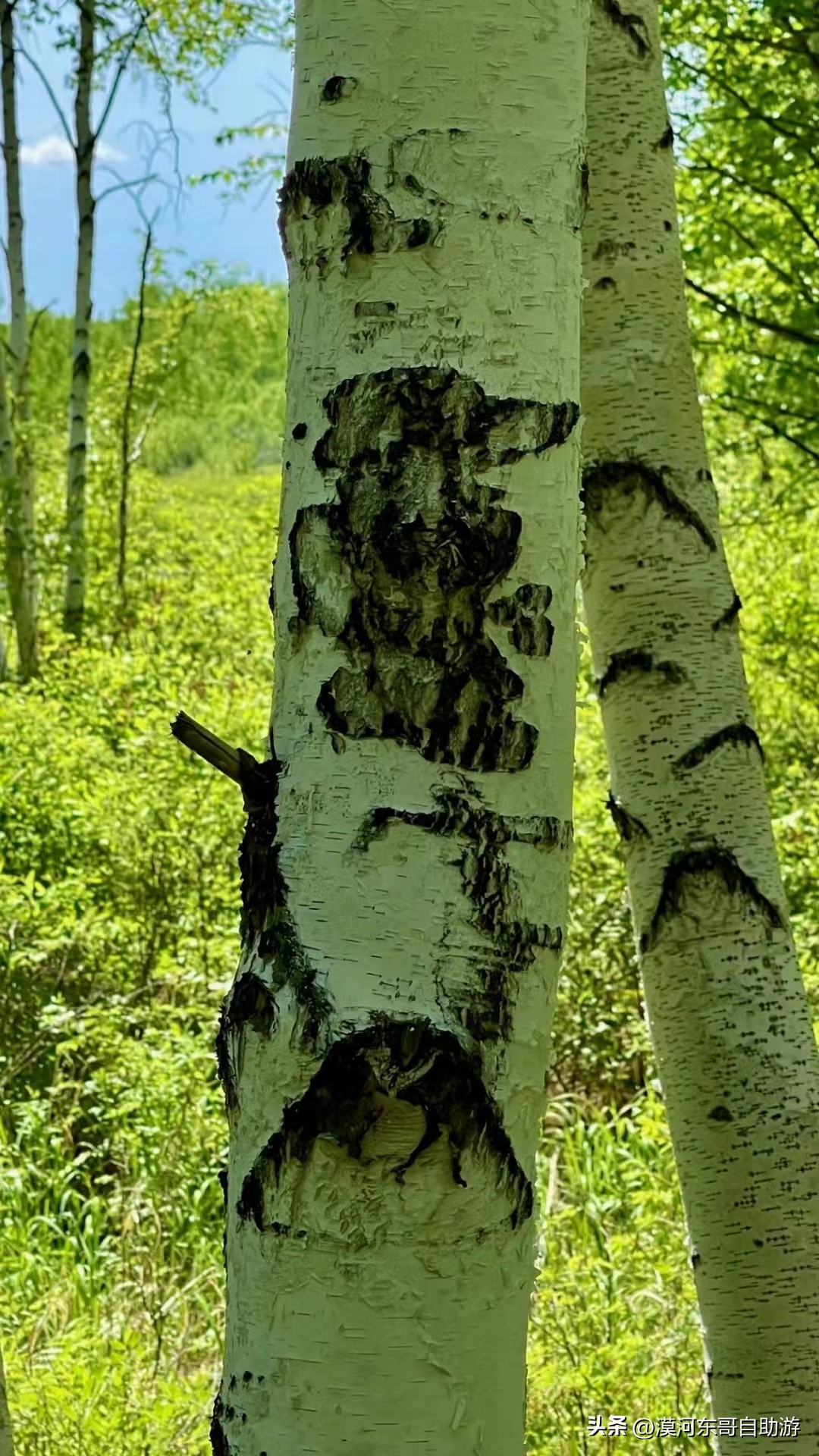 漠河景点路线攻略,漠河北极村旅游景点