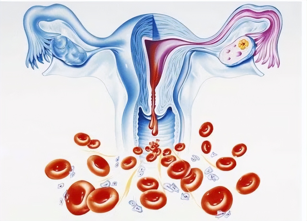 女生来例假时，突然流出的一股血块，是身上的肉吗？看完涨知识了