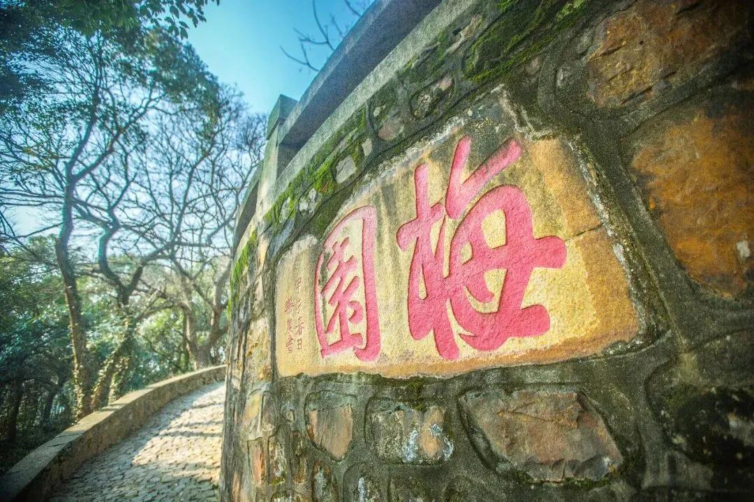 无锡梅园（六）荣氏兄弟黄金搭档