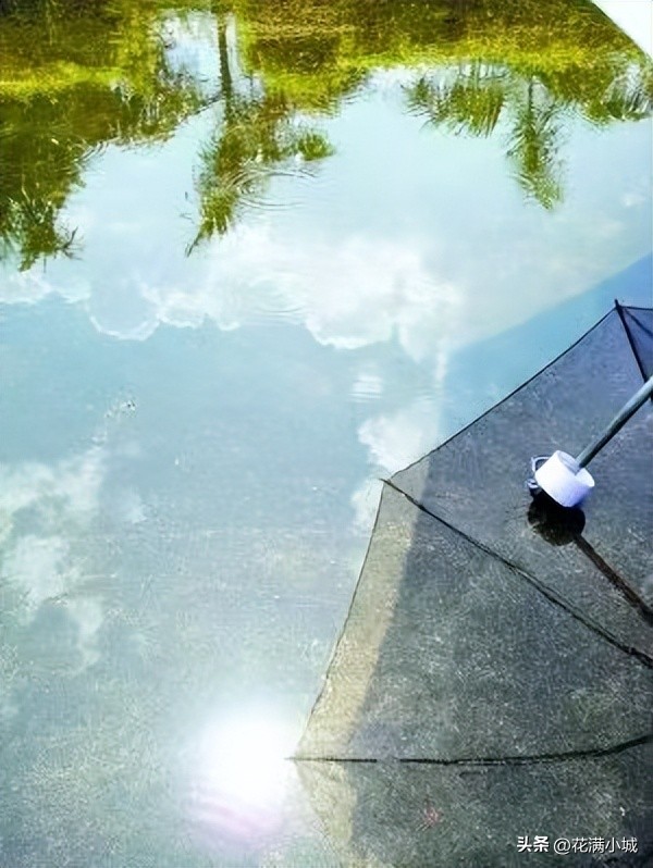 太阳雨热水器价格一览表,太阳雨歌曲