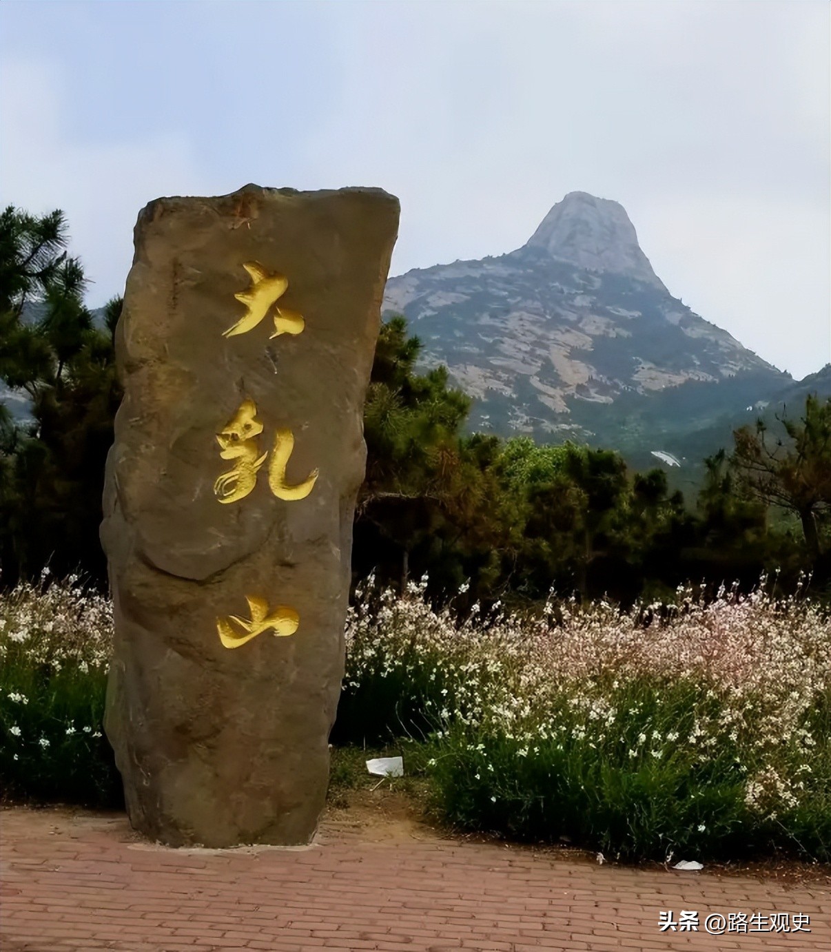 红色乳娘：70多年后，她来山东找“妈妈”，但妈妈经已离世9年了