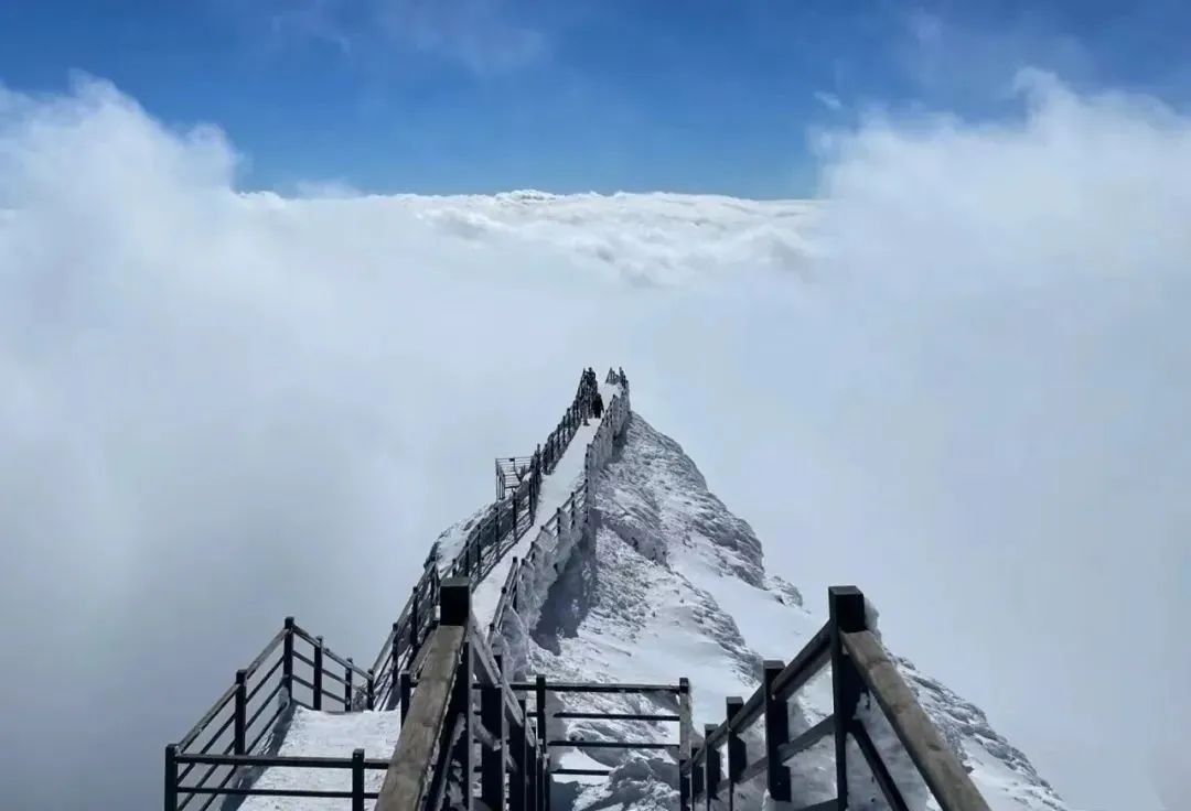 【轿子山文化旅游节】云南·禄劝2023年轿子山文化旅游节最全攻略来啦（图文版）！