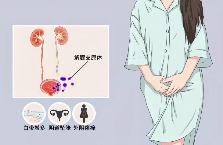 支原体转阴后仍有症状,支原体转阴后腺病毒阳了