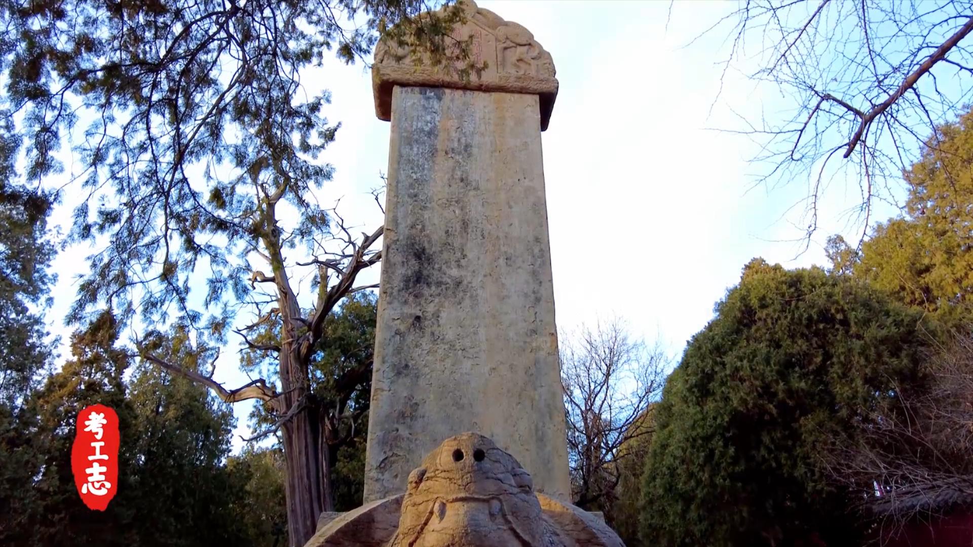 岱庙大还是故宫大,岱岱多大了