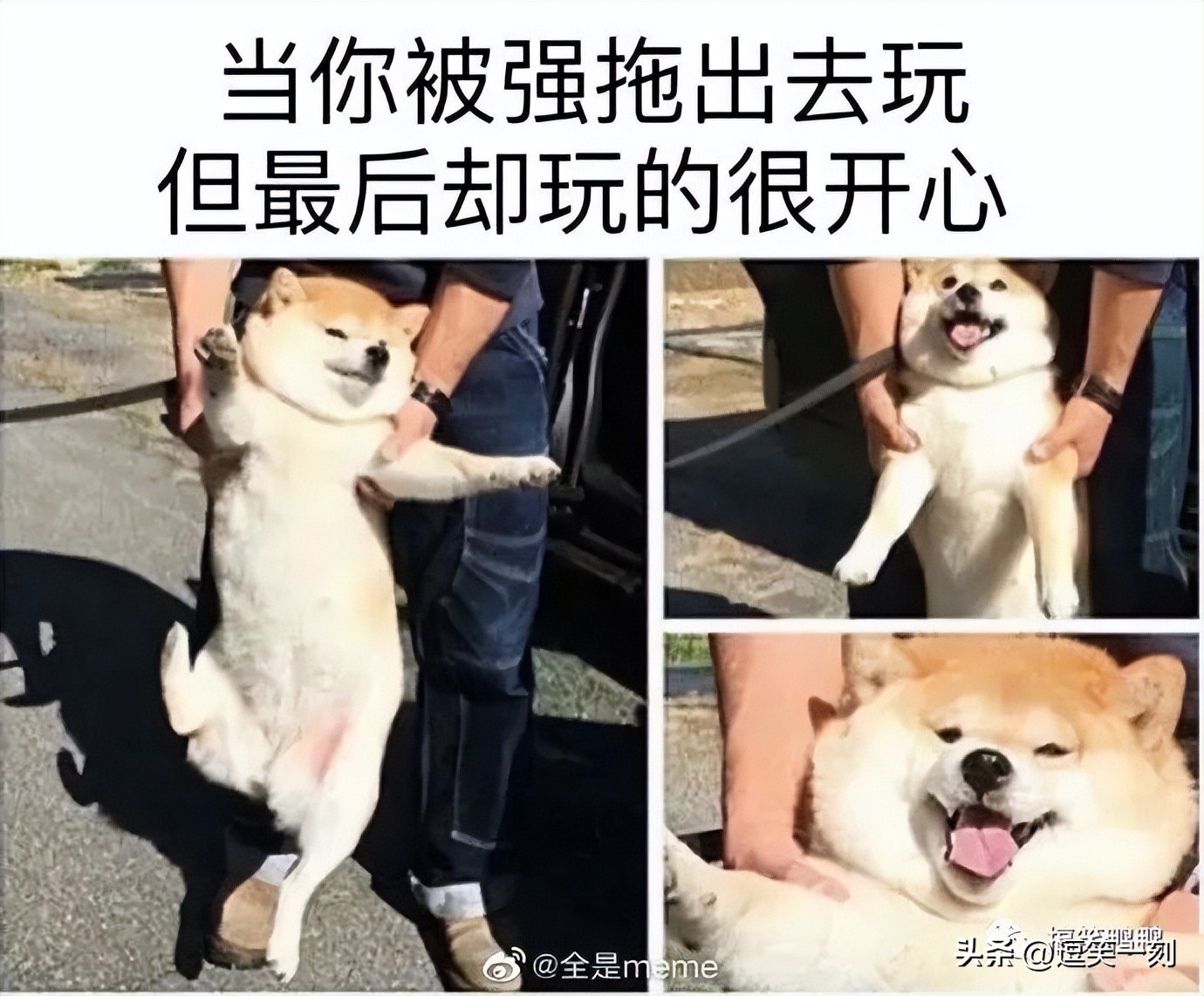 姐妹间的远大梦想，哈哈哈曾梦想仗剑走天涯，后因预算不足而取消