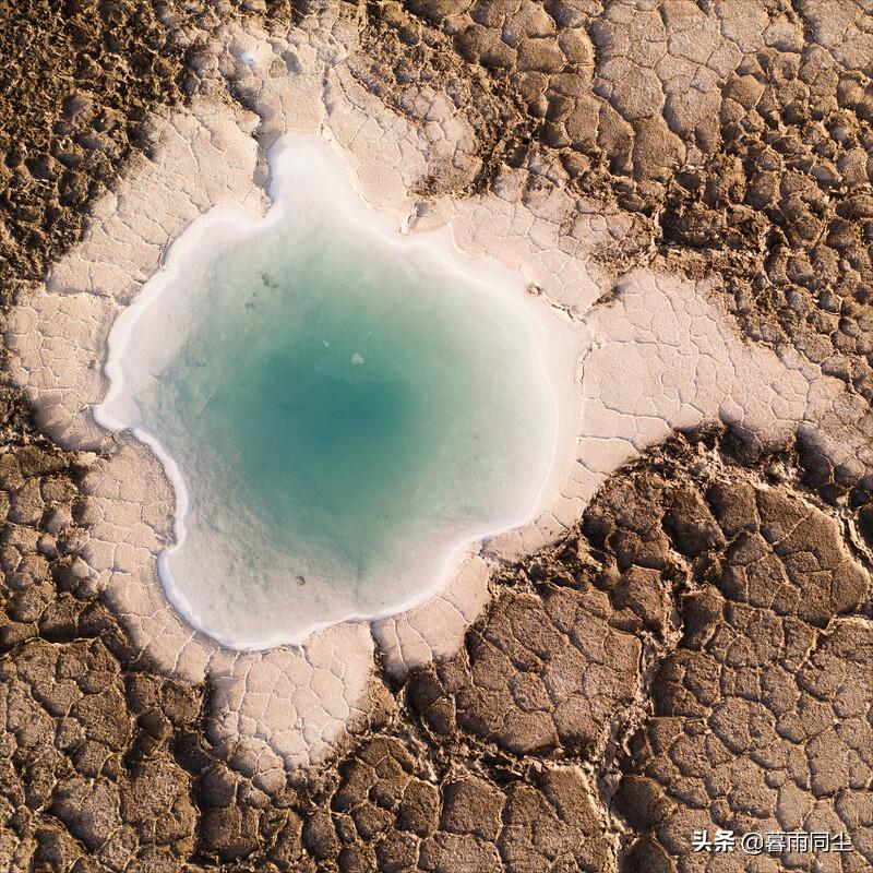 荒野生存十大绝望手段,荒野求生不是一件轻松的事情