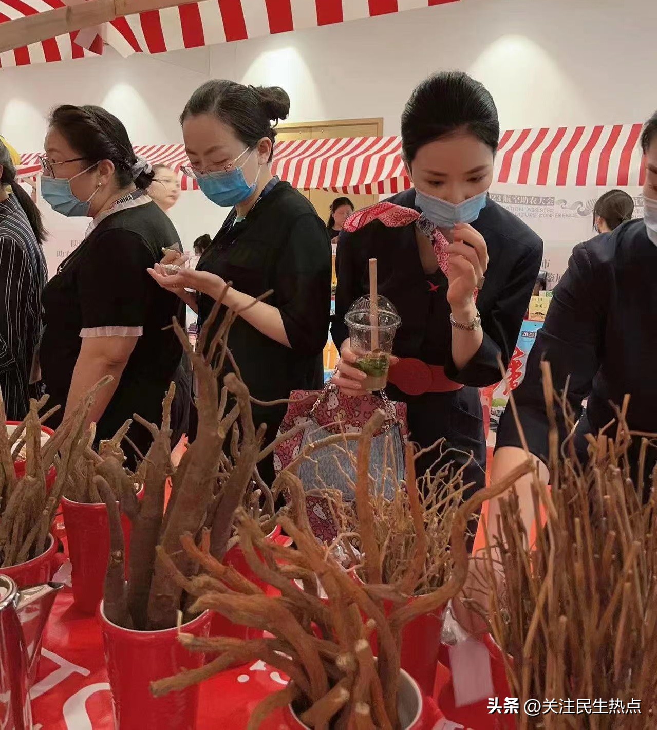 迈尔标普.鸿赢中药材种植基地被授予航空助农乡村振兴联建基地