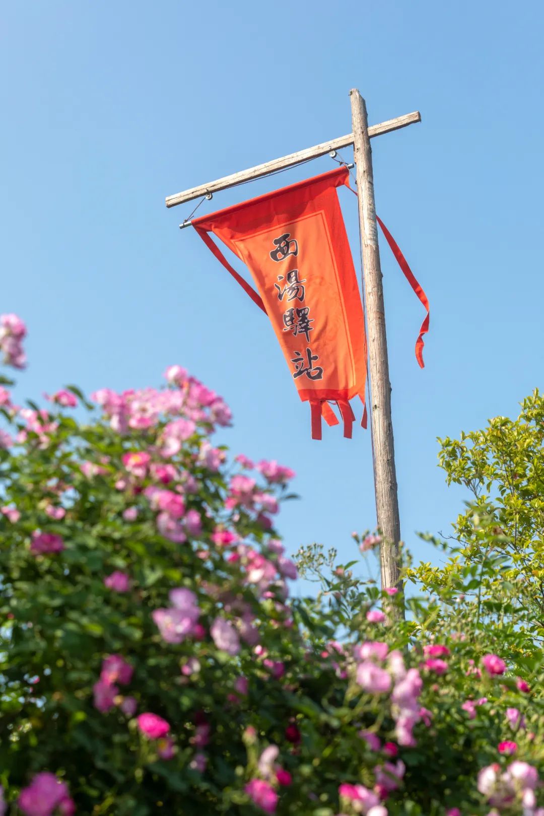 这个五一长假，闯进溧阳鹅村童话世界，做个快乐的大小“鹅”童