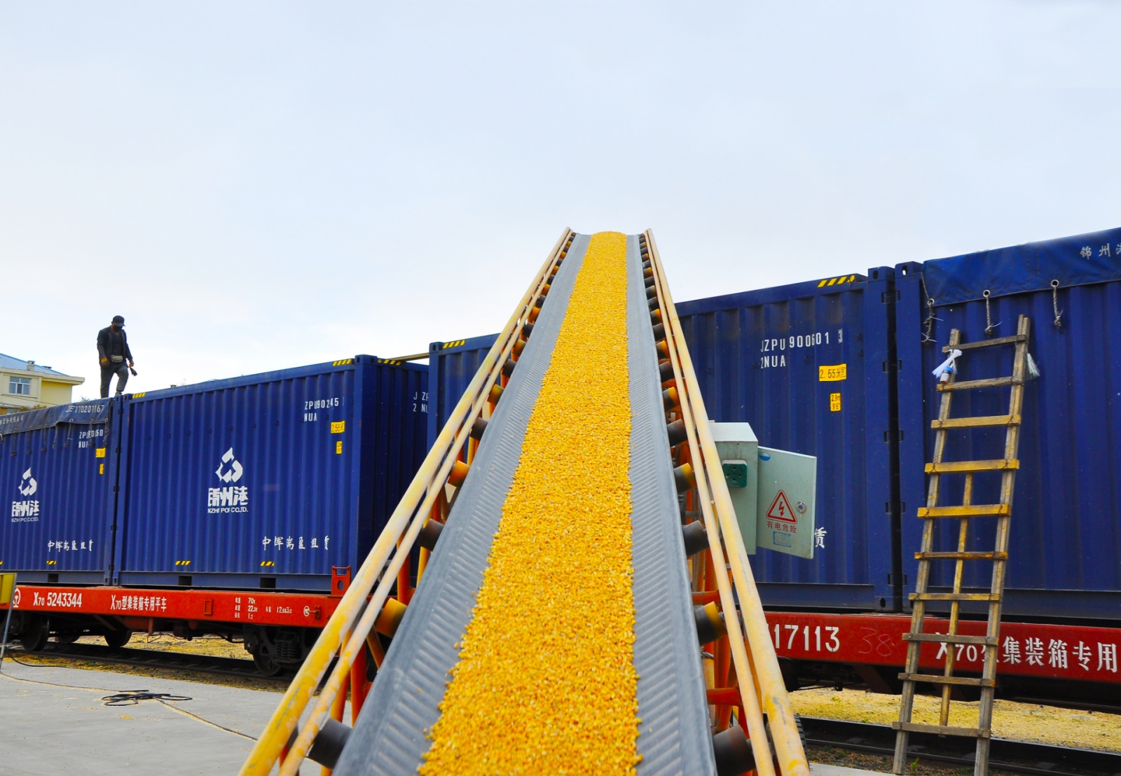 俄罗斯开放海参崴了吗,俄罗斯为何开放海参崴出口