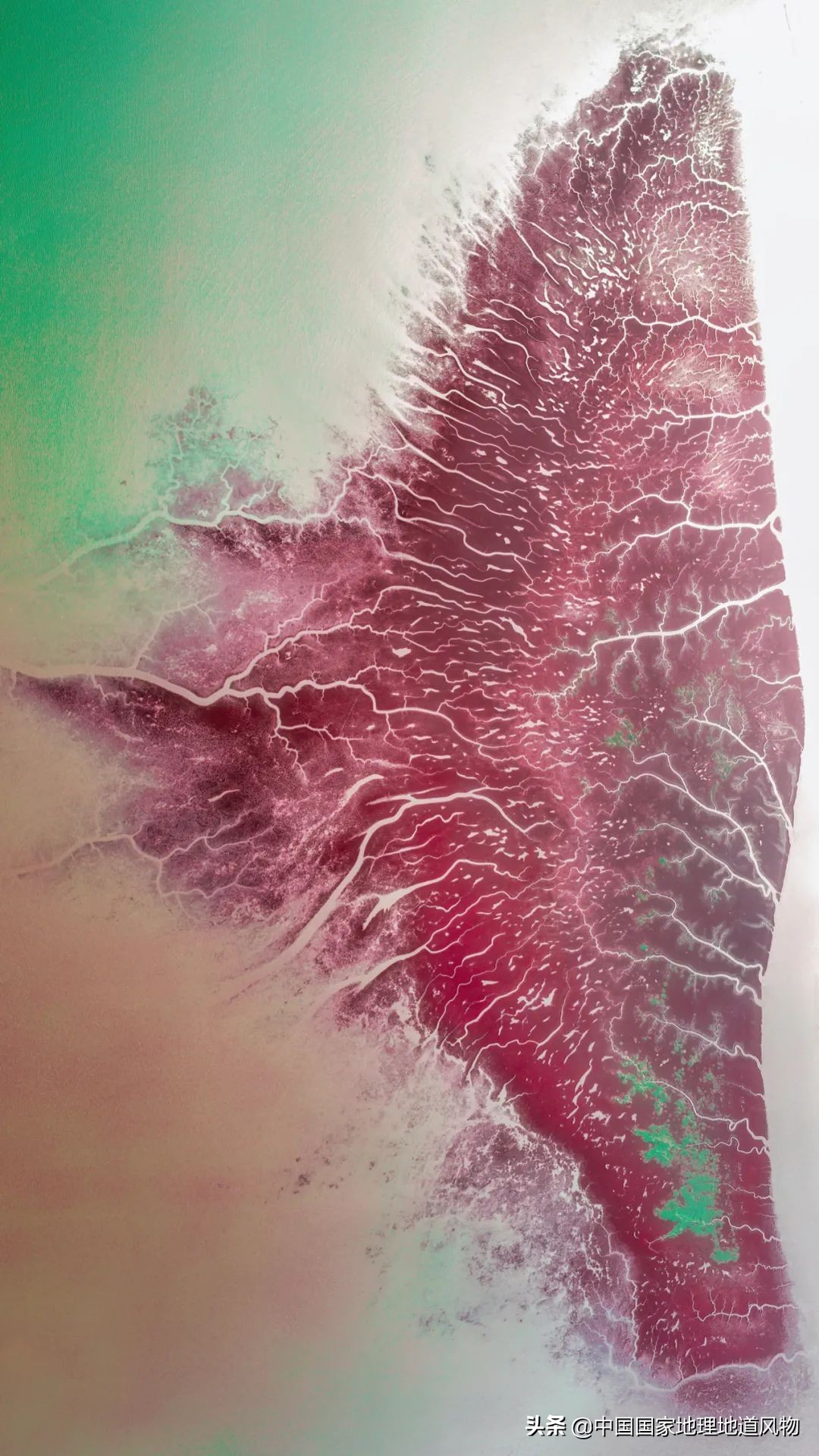 辽宁哪个地方的海鲜最好,辽宁各市都有啥海鲜