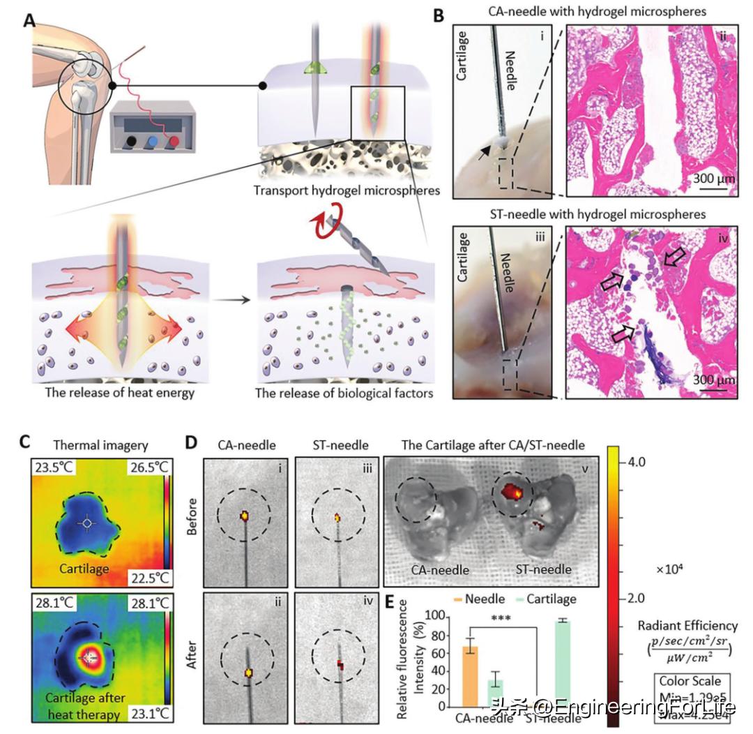 妙！微球嵌微针，一篇AFM