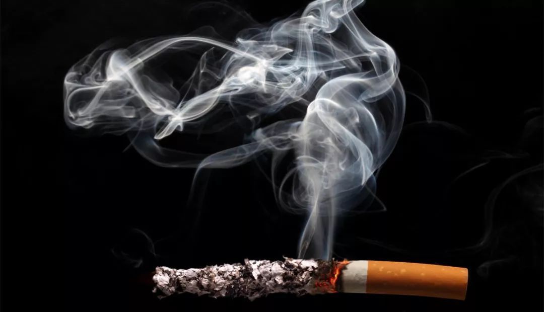 跨国制售假烟案,幕后主谋竟是“红木生意老板”?|今晚九点半