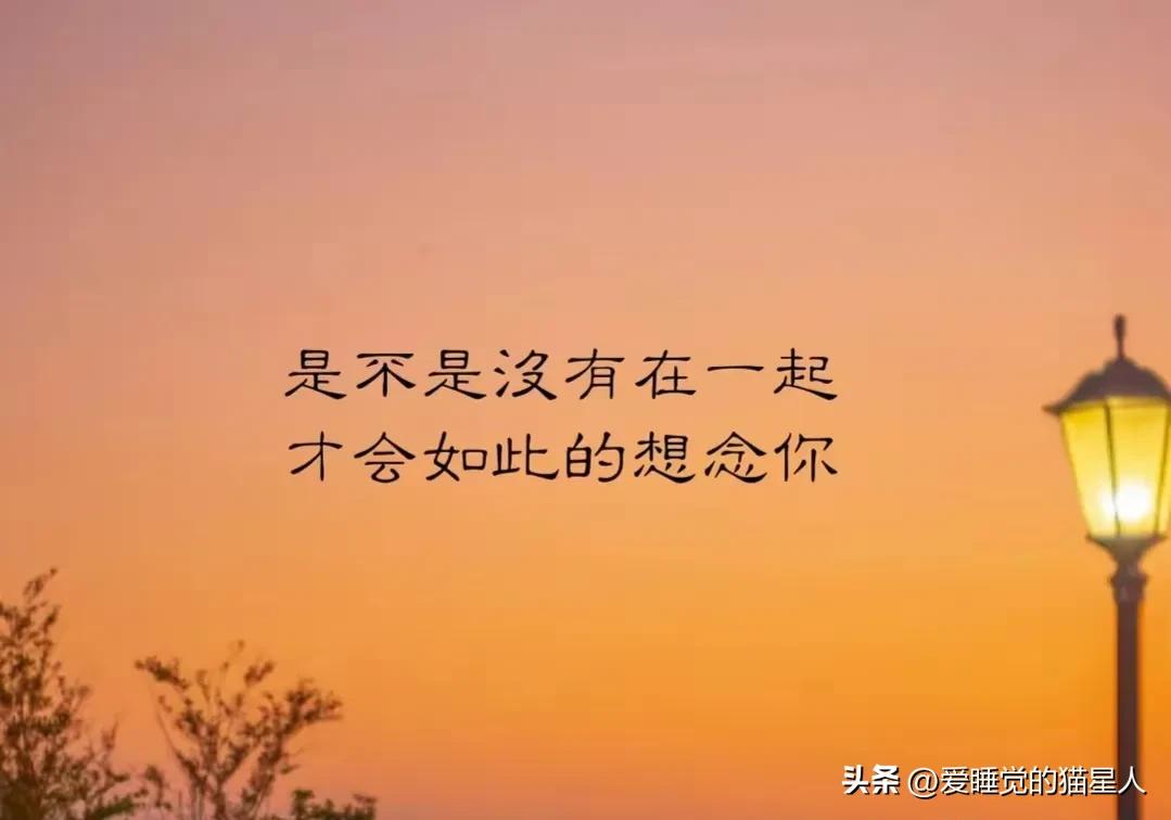 真正爱上一个人是从怕失去开始的,我不会爱上任何人因为我害怕失去
