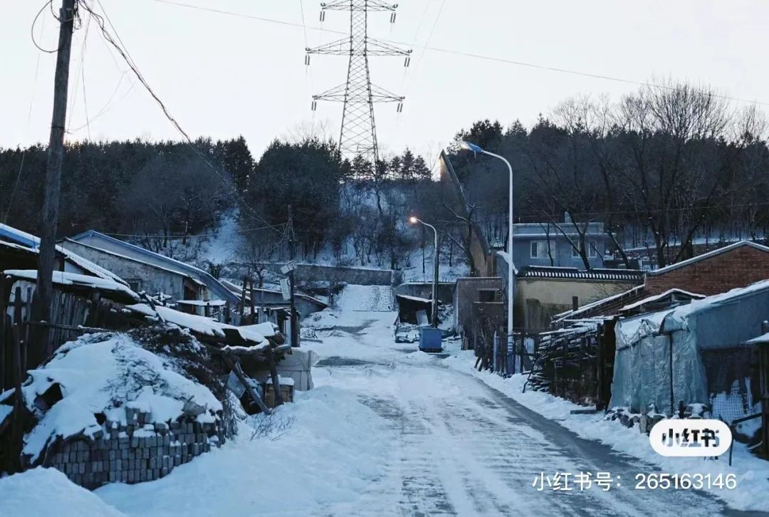 50块钱逛遍大连,50块钱逛沈阳