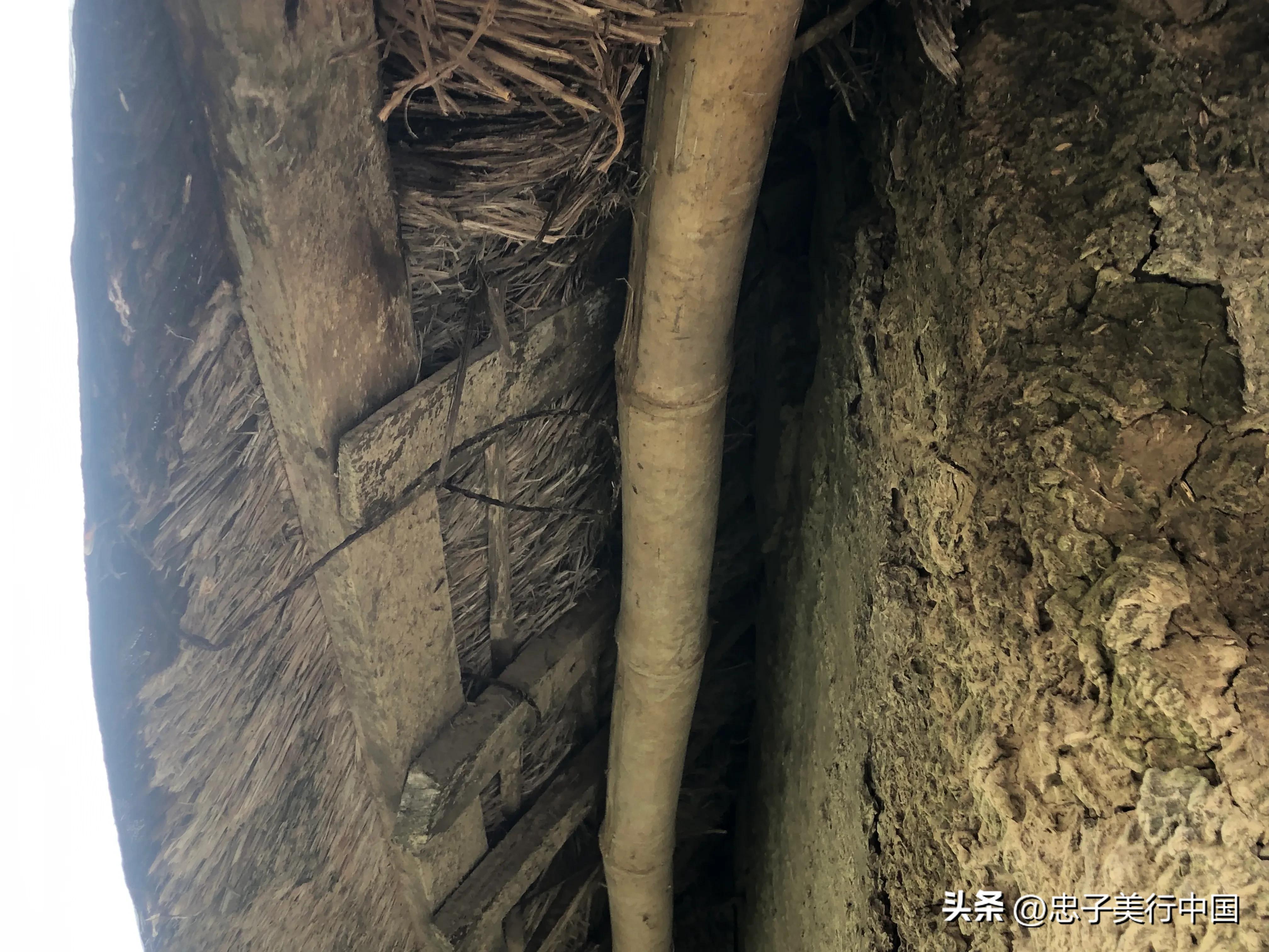 广东省雷州关于石狗的民间传说,雷州石狗简介