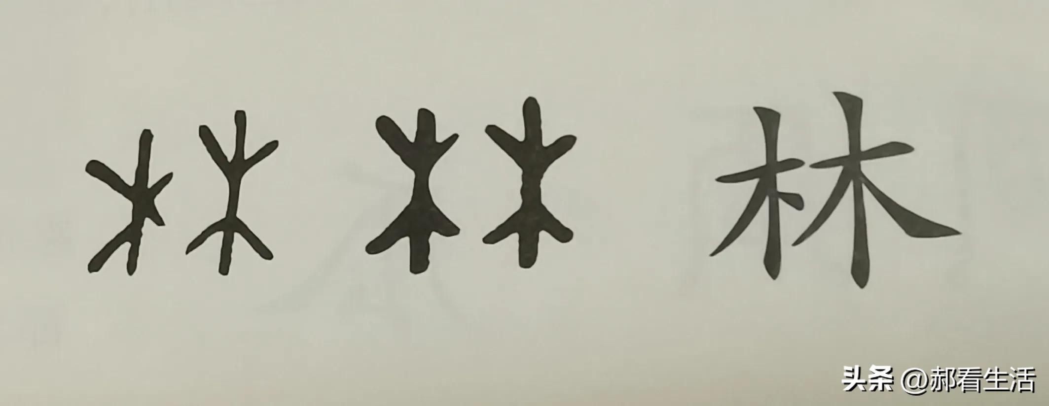 趣说汉字是什么,六书中造字方法怎么区别