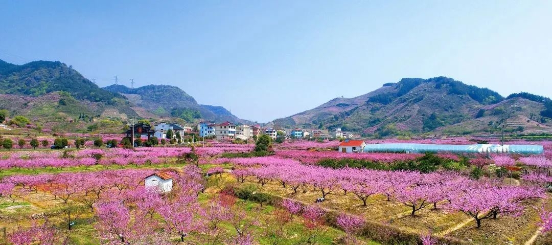 近乡情怯，归来仍是少年！