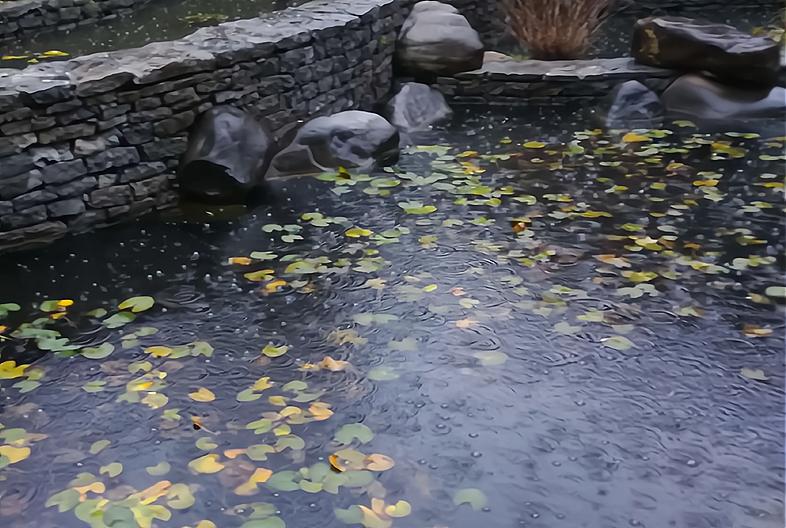 2023年是双春黑兔年吗,2023年是黑兔年说法是真的吗