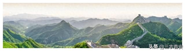 毛*东泽**是如何登上历史舞台的？