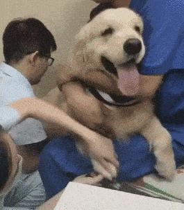 近期手足口病进入发病高峰期,打手足口病疫苗多久可以打百白破