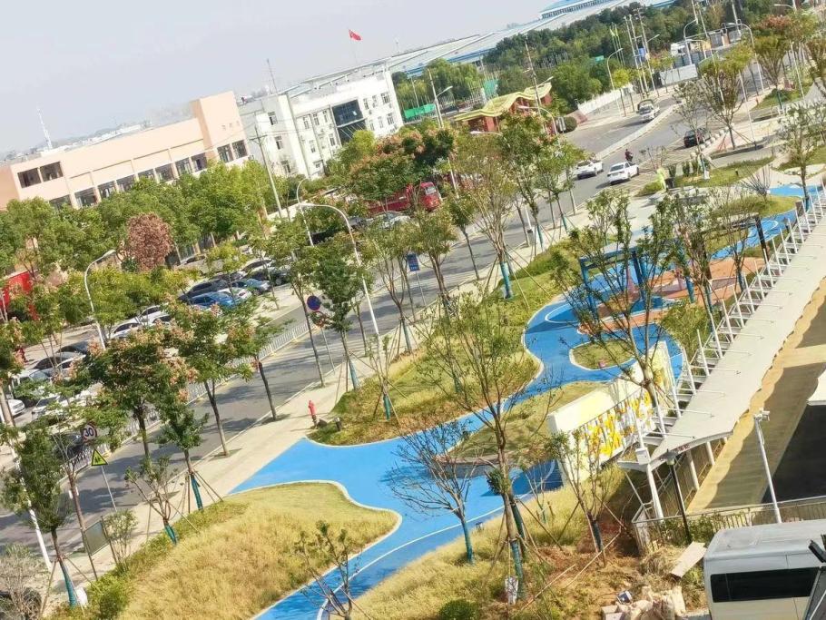 口袋公园生态美景,口袋公园小景观