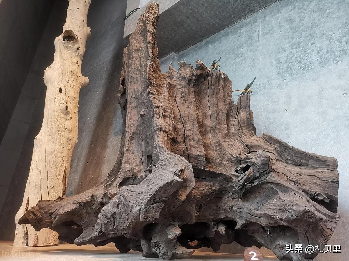 阴沉木也被称为乌木，哪些木才能称为阴沉木，都有哪些特征？