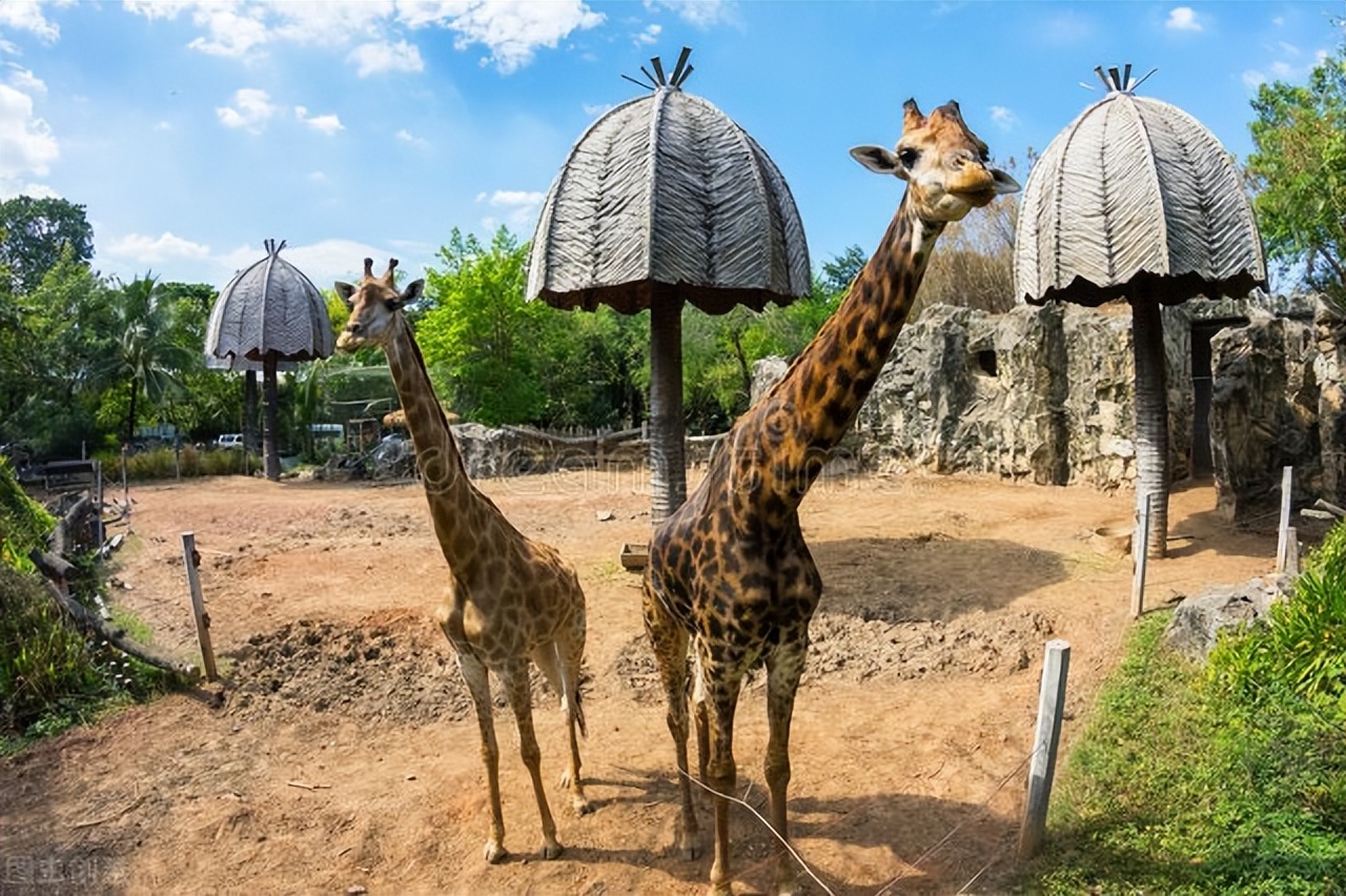 泰国曼谷著名遗产旅游地,曼谷名胜古迹