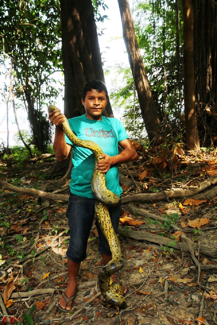 南美四国之旅,巴西亚马逊之行