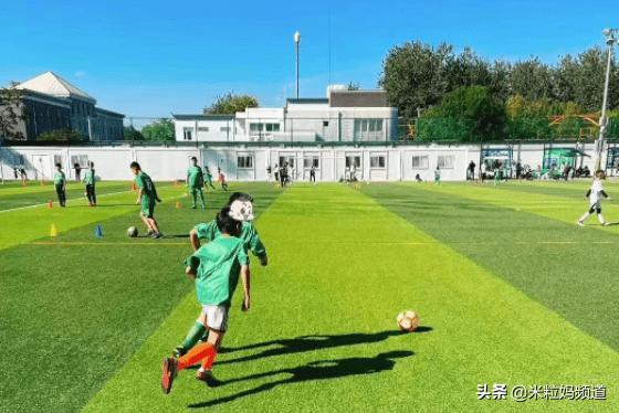 三年二班的结局,三年二班赢了吗