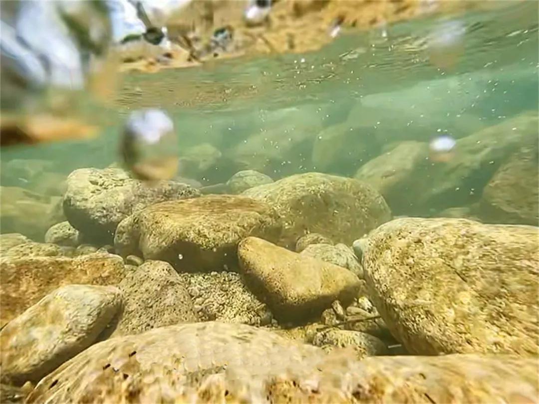 从化草埔村荷花游记,从化小杉村游玩攻略油菜花