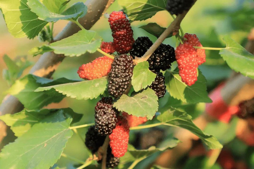 广州番禺适合遛娃吃喝玩乐的地方,周末遛娃好去处广州番禺