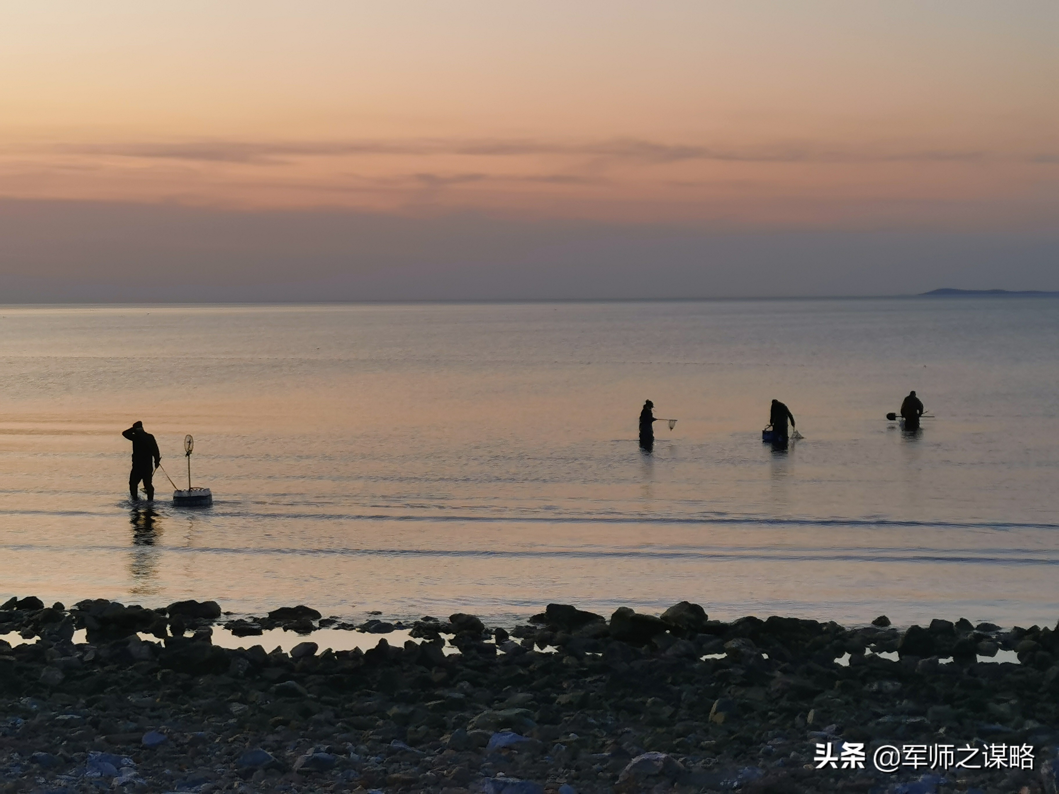 大连赶海去黄海还是渤海,大连海岸线旅游攻略