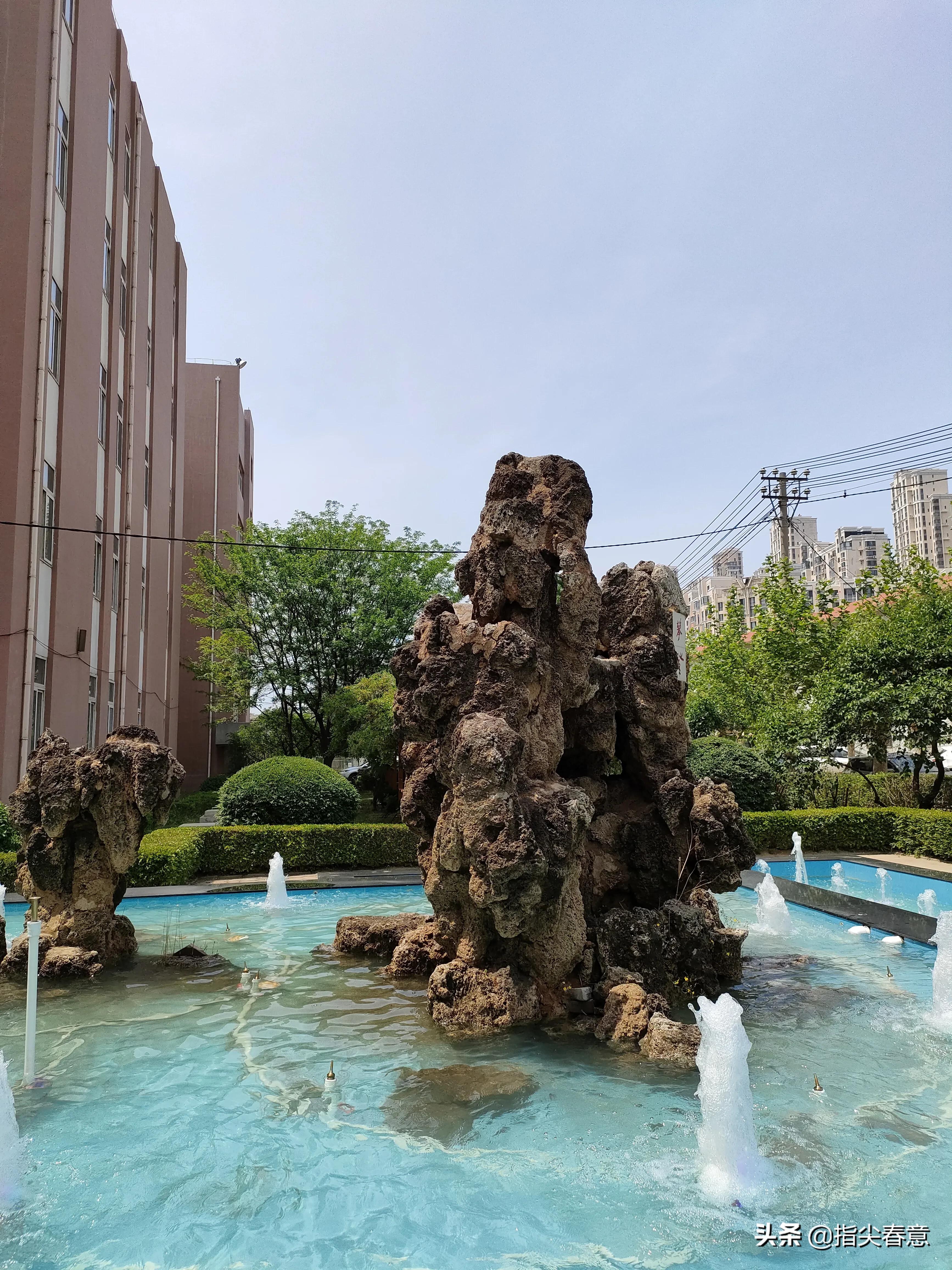 领略世间的姹紫嫣红,视线所及之处尽是葱茏的绿意