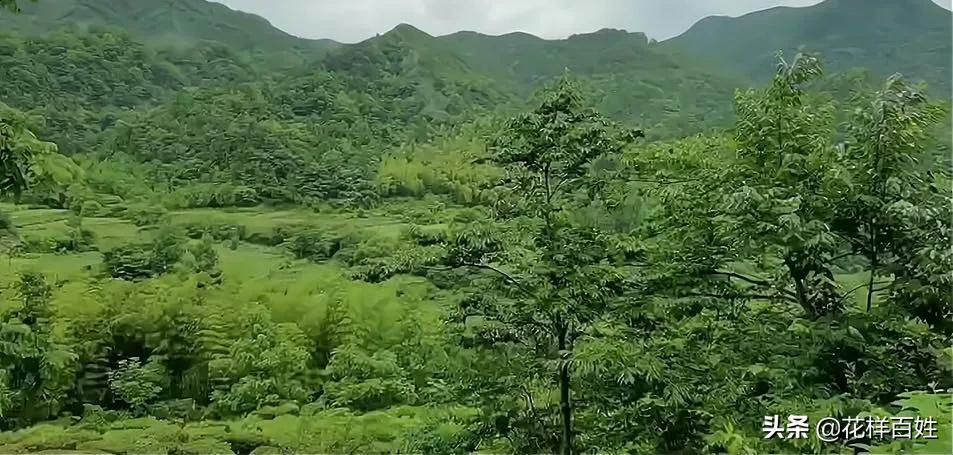 女性提前10年退休,提前退休去环游中国