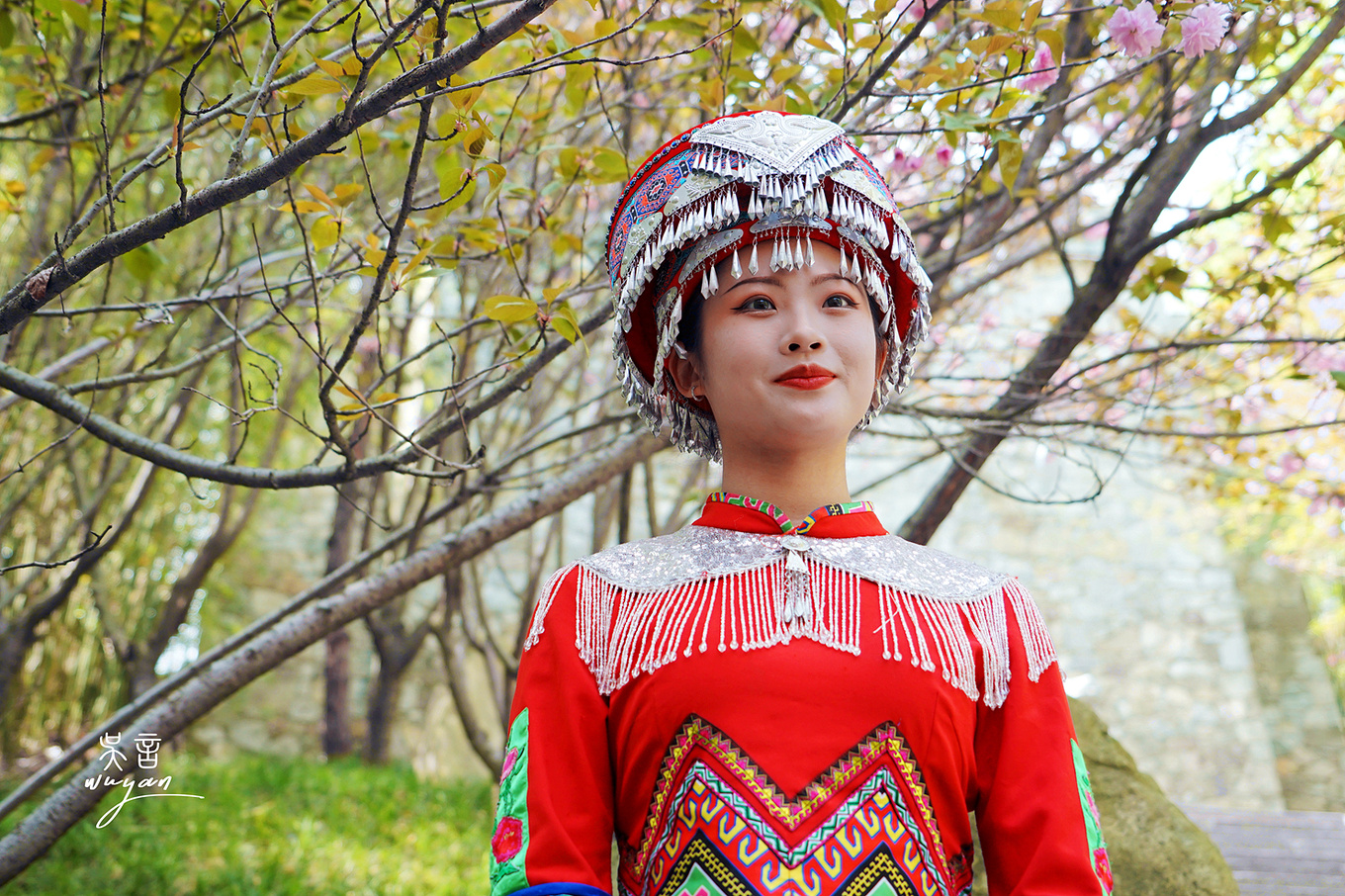 武汉看樱花半日游,武汉看樱花一日游