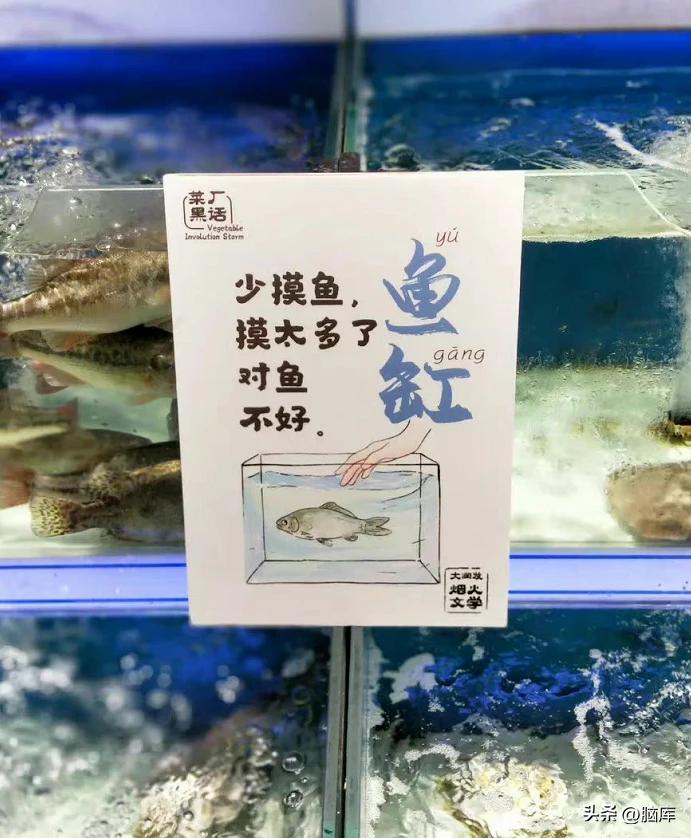 各年十佳广告文案,2022春节广告文案